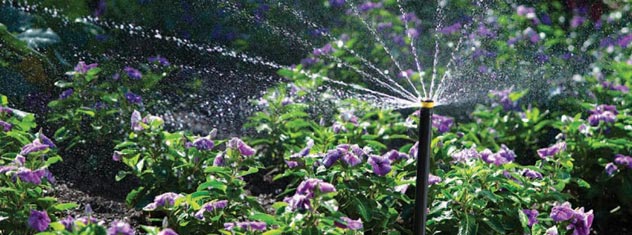 Progettazione e realizzazione impianti di irrigazione per parchi e giardini, hotel ed enti pubblici