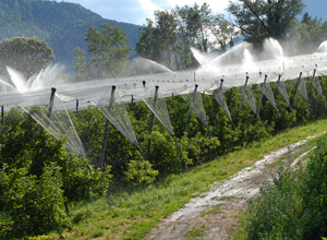 Irrigazione per frutteti
