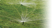 Offerte impianti di irrigazione per giardini e parchi!
